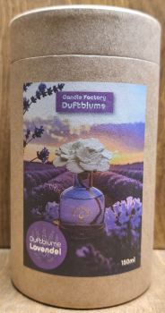 Duftblume Lavendel