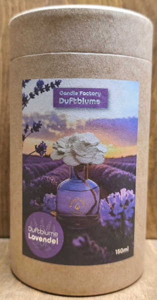 Duftblume Lavendel