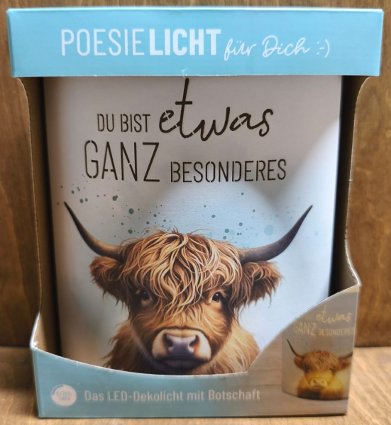 Poesielicht "Du bist etwas ganz besonderes", Kuh